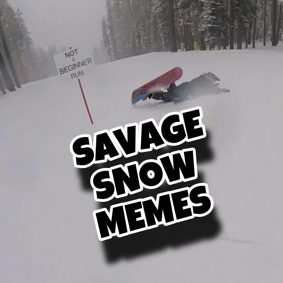 Savage Snow Memes - 